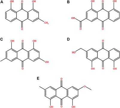 Rhein for treating diabetes mellitus: A pharmacological and mechanistic overview